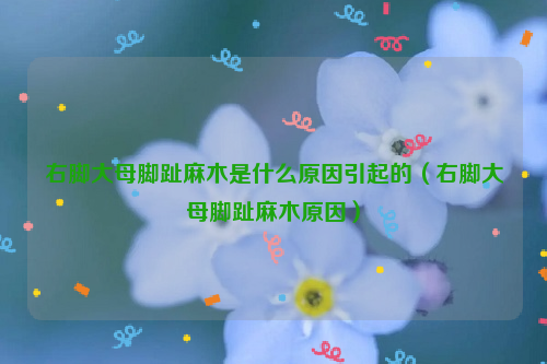 右脚大母脚趾麻木是什么原因引起的（右脚大母脚趾麻木原因）
