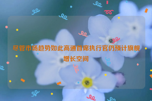 尽管市场趋势如此高通首席执行官仍预计旗舰增长空间