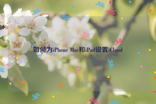 如何为iPhone Mac和iPad设置iCloud