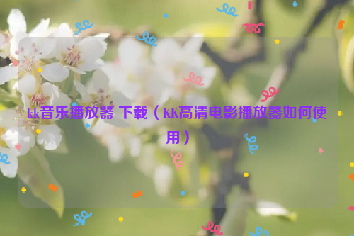 kk音乐播放器 下载（KK高清电影播放器如何使用）