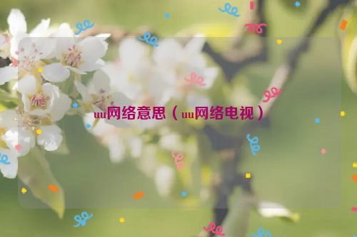 uu网络意思（uu网络电视）