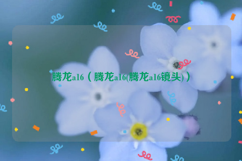 腾龙a16（腾龙a16(腾龙a16镜头)）