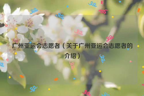 广州亚运会志愿者（关于广州亚运会志愿者的介绍）