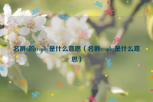 名爵6的trophy是什么意思（名爵trophy是什么意思）