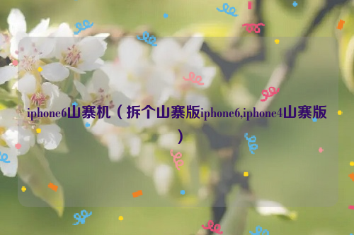 iphone6山寨机（拆个山寨版iphone6,iphone4山寨版）