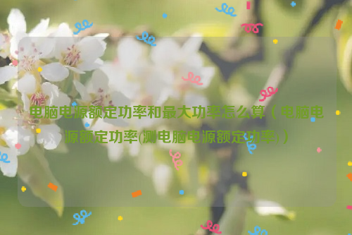 电脑电源额定功率和最大功率怎么算（电脑电源额定功率(测电脑电源额定功率)）