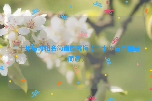 二十年后再相会简谱殷秀梅（二十年后再相会简谱）