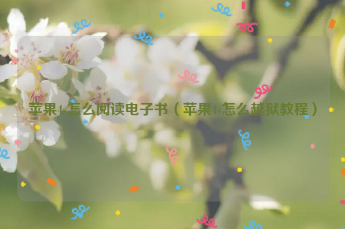 苹果4s怎么阅读电子书（苹果4s怎么越狱教程）