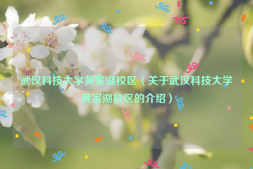 武汉科技大学黄家湖校区（关于武汉科技大学黄家湖校区的介绍）