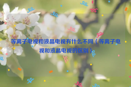 等离子电视和液晶电视有什么不同（等离子电视和液晶电视的区别）