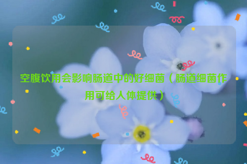空腹饮用会影响肠道中的好细菌（肠道细菌作用可给人体提供）